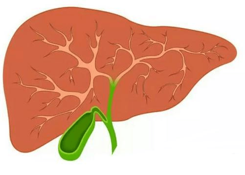 肝癌最怕的3种菜是什么-肝癌最怕的3种食物