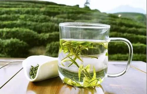 喝什么茶降糖效果最好-降糖效果最好的茶是什么