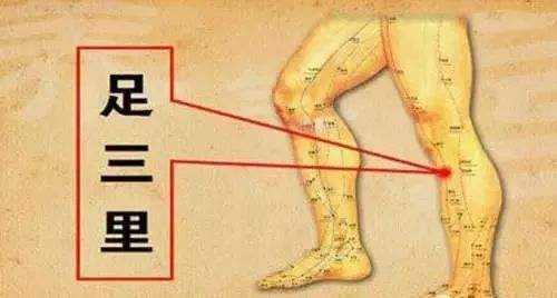 按摩哪里可以舒经活血_舒经活血的按摩方法