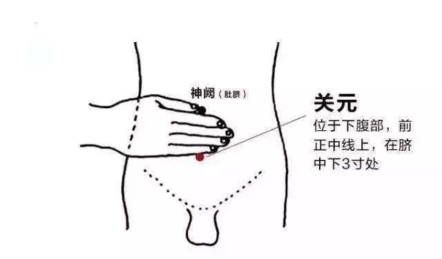 四大养生穴位的按摩方法　足三里治疗久病体虚