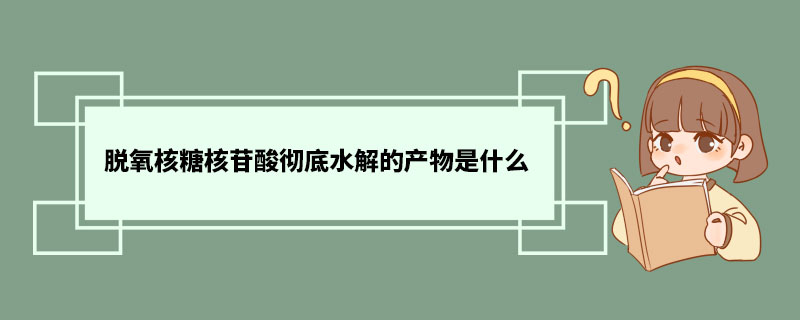 脱氧核糖核苷酸彻底水解的产物是什么 脱氧核糖核苷酸功能