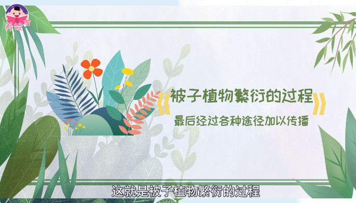 什么是被子植物 什么是被子植物呢