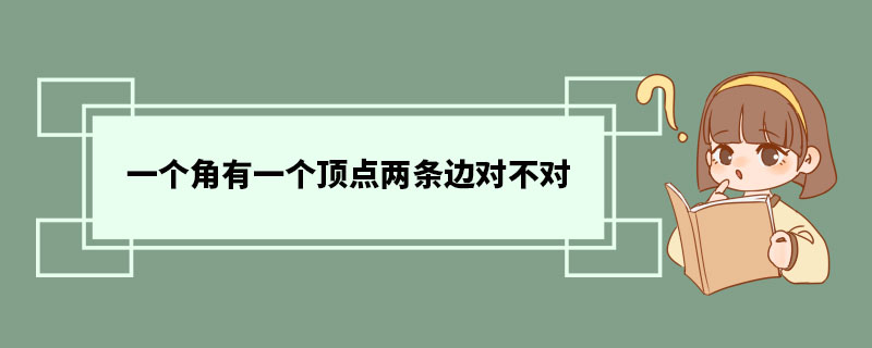 一个角有一个顶点两条边对不对 角的分类