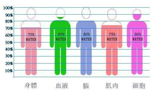 千滚水和暴晒矿泉水不能喝？别再相信谣言了