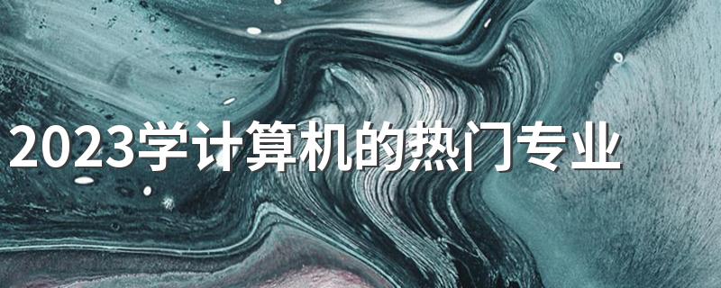 2023学计算机的热门专业是什么 哪个专业最吃香