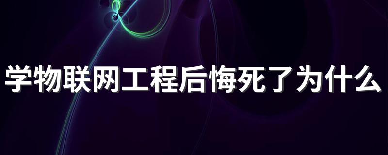 学物联网工程后悔死了为什么 2023发展前景好吗