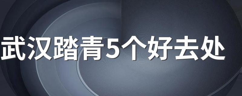 武汉踏青5个好去处 户外踏青要注意什么