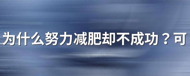 为什么努力减肥却不成功？可能是这三大原因导致！