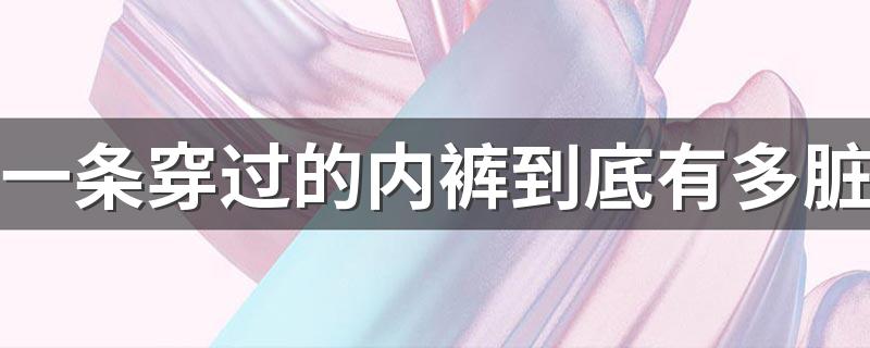 一条穿过的内裤到底有多脏 内裤健康的5个提示