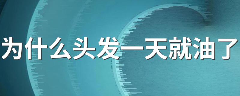 为什么头发一天就油了 还有解决方法在这里