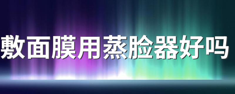 敷面膜用蒸脸器好吗 怎样保养脸部皮肤