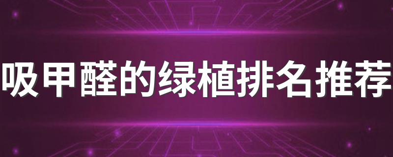 吸甲醛的绿植排名推荐 哪些绿植吸收甲醛效果好