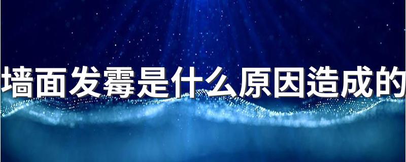 墙面发霉是什么原因造成的 室内墙面受潮发霉怎么处理翻新