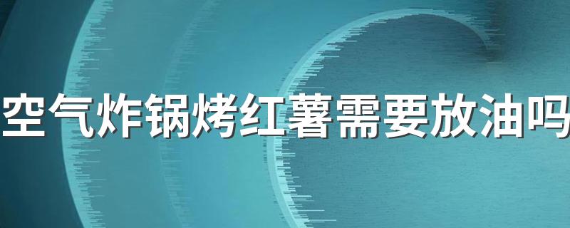 空气炸锅烤红薯需要放油吗 空气炸锅为什么不用油就可以炸东西