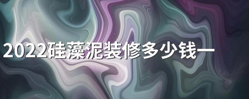 2022硅藻泥装修多少钱一平方 硅藻泥装修价格影响因素