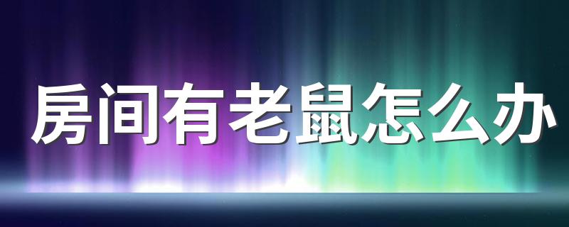 房间有老鼠怎么办 家屋里有老鼠有什么办法可以消除