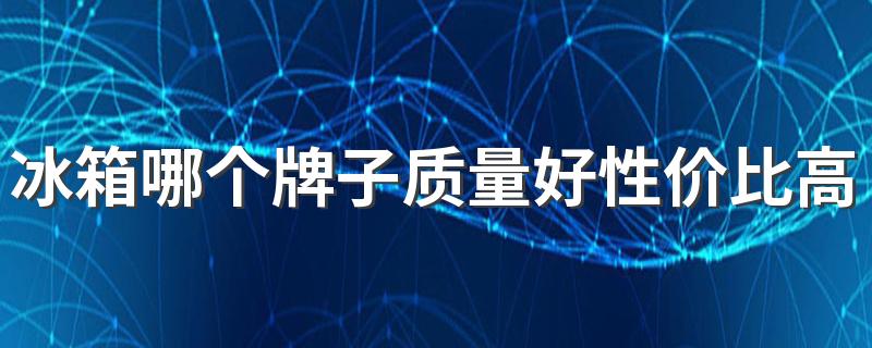 冰箱哪个牌子质量好性价比高 冰箱放在哪里最为合适