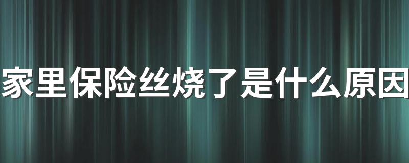 家里保险丝烧了是什么原因 保险丝烧断了可以用铜丝代替吗