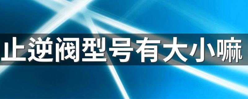 止逆阀型号有大小嘛 如何选择室内合适的烟道止逆阀