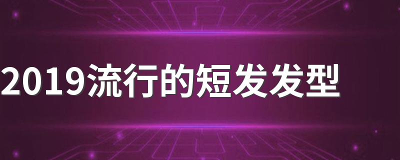 2019流行的短发发型 推荐以下六款发型