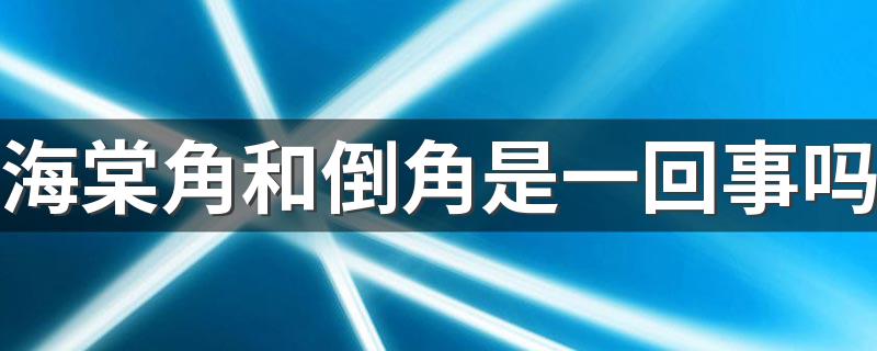 海棠角和倒角是一回事吗 墙砖阳角海棠角和直角切边的区别