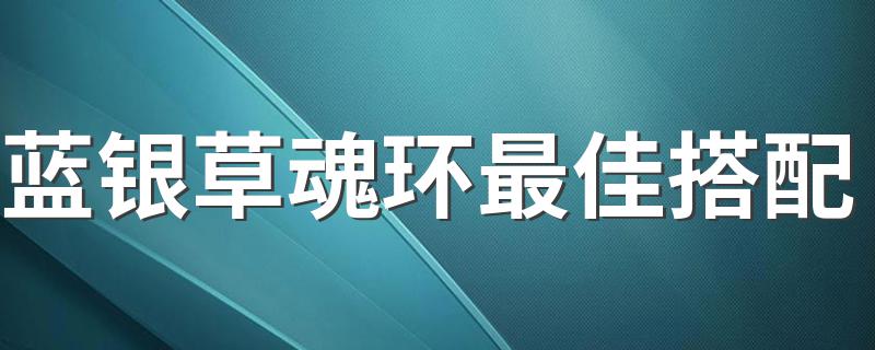 蓝银草魂环最佳搭配 原来是它