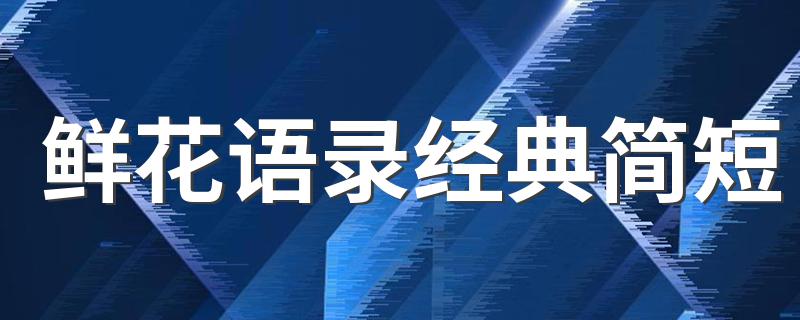 鲜花语录经典简短 关于花的唯美句子