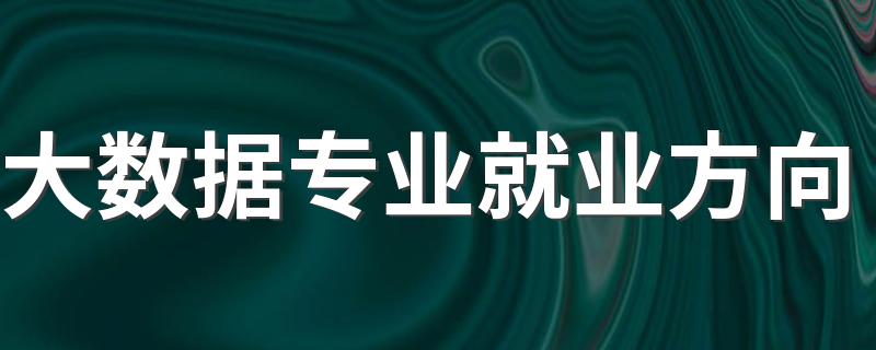 大数据专业就业方向 出来后做什么工作