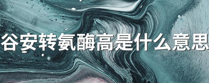 谷安转氨酶高是什么意思 升高的原因