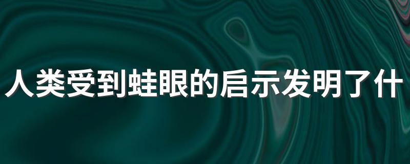 人类受到蛙眼的启示发明了什么 根据蛙眼的启示发明了什么东西