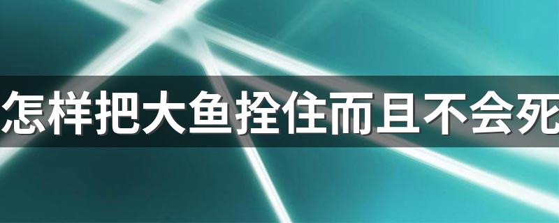 怎样把大鱼拴住而且不会死 其中需要注意什么