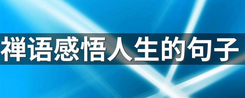 禅语感悟人生的句子 有哪些句子呢