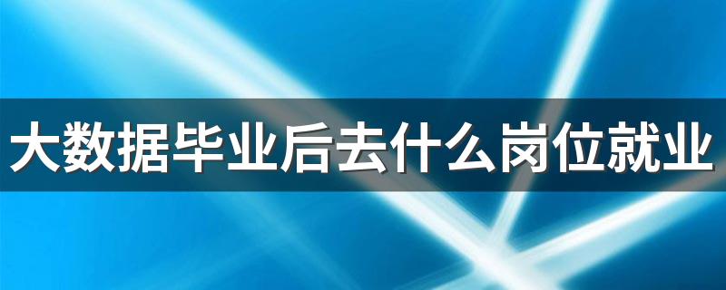 大数据毕业后去什么岗位就业 吃香的工作有哪些