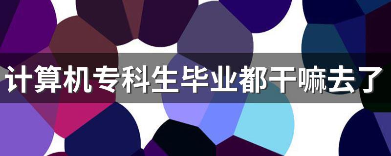 计算机专科生毕业都干嘛去了 能找什么工作