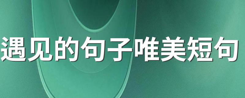 遇见的句子唯美短句 关于遇见的句子