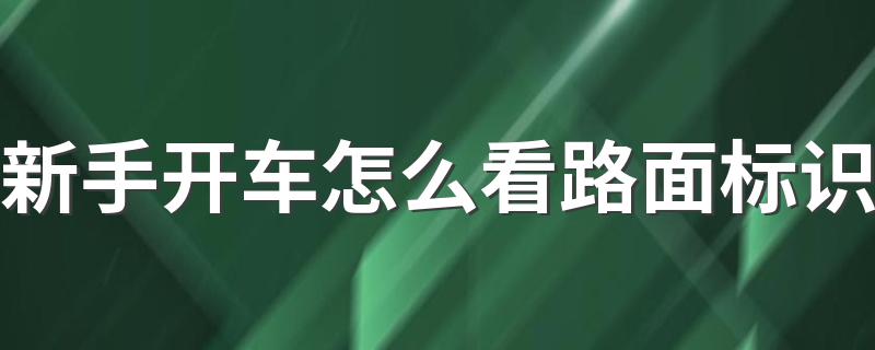 新手开车怎么看路面标识 怎样分辨路上的标志线