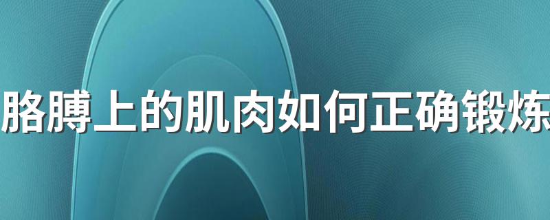 胳膊上的肌肉如何正确锻炼 怎么锻炼胳膊上的肌肉