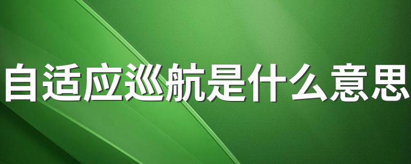 自适应巡航是什么意思 浅谈自适应巡航