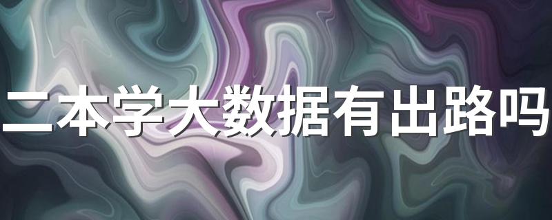 二本学大数据有出路吗 发展前景怎么样