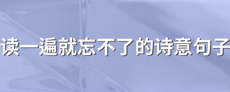 读一遍就忘不了的诗意句子 这些都是诗意句子