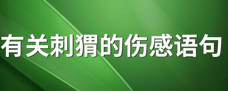 有关刺猬的伤感语句 有关刺猬的伤感语句列述