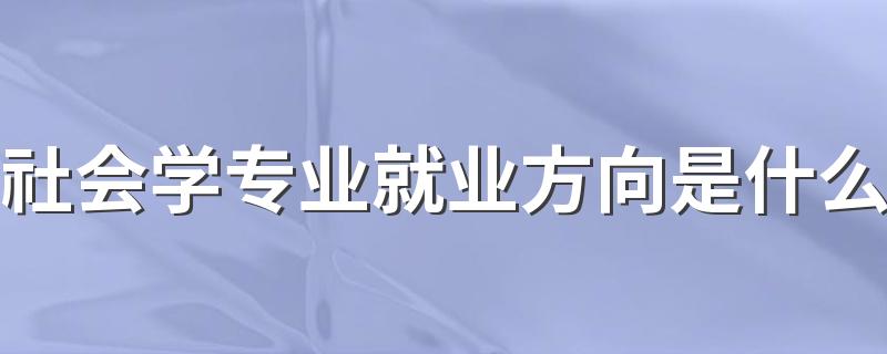 社会学专业就业方向是什么 就业前景怎么样