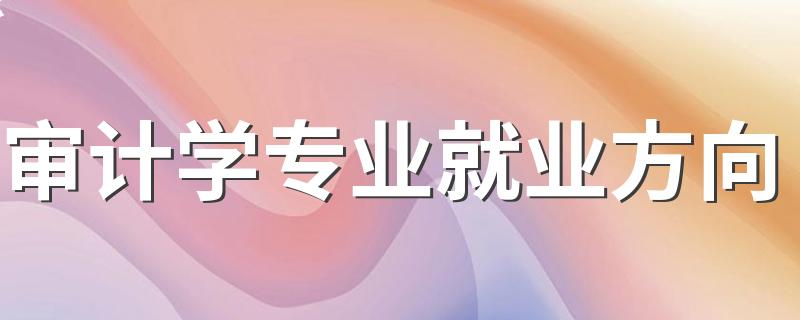 审计学专业就业方向 能找什么工作