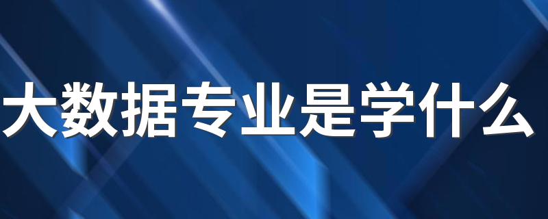 大数据专业是学什么 主要课程有哪些