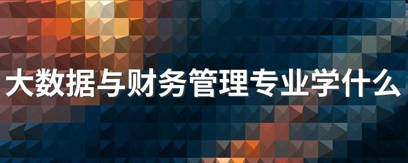 大数据与财务管理专业学什么课程 发展前景好不好