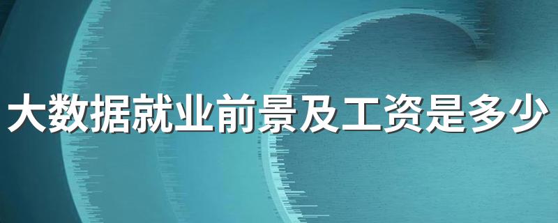 大数据就业前景及工资是多少 未来发展好不好