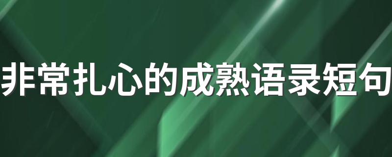 非常扎心的成熟语录短句 深夜扎心社会经典语录