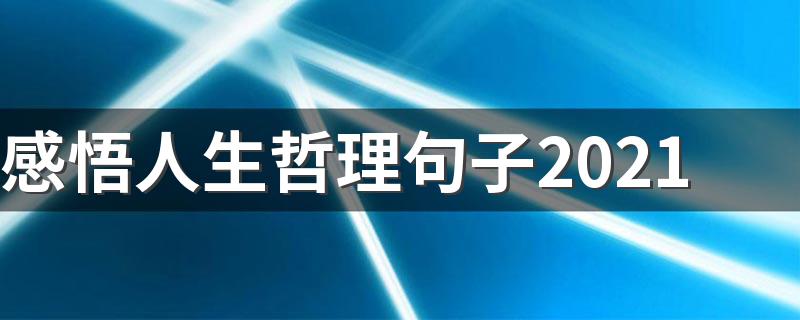 感悟人生哲理句子2021 2021感悟人生哲理句子最经典收藏