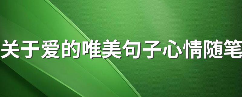 关于爱的唯美句子心情随笔 有关爱情的心情随笔短句