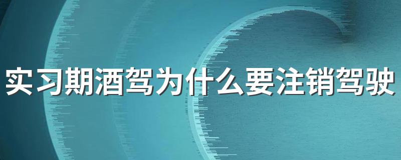 实习期酒驾为什么要注销驾驶证 原因是什么